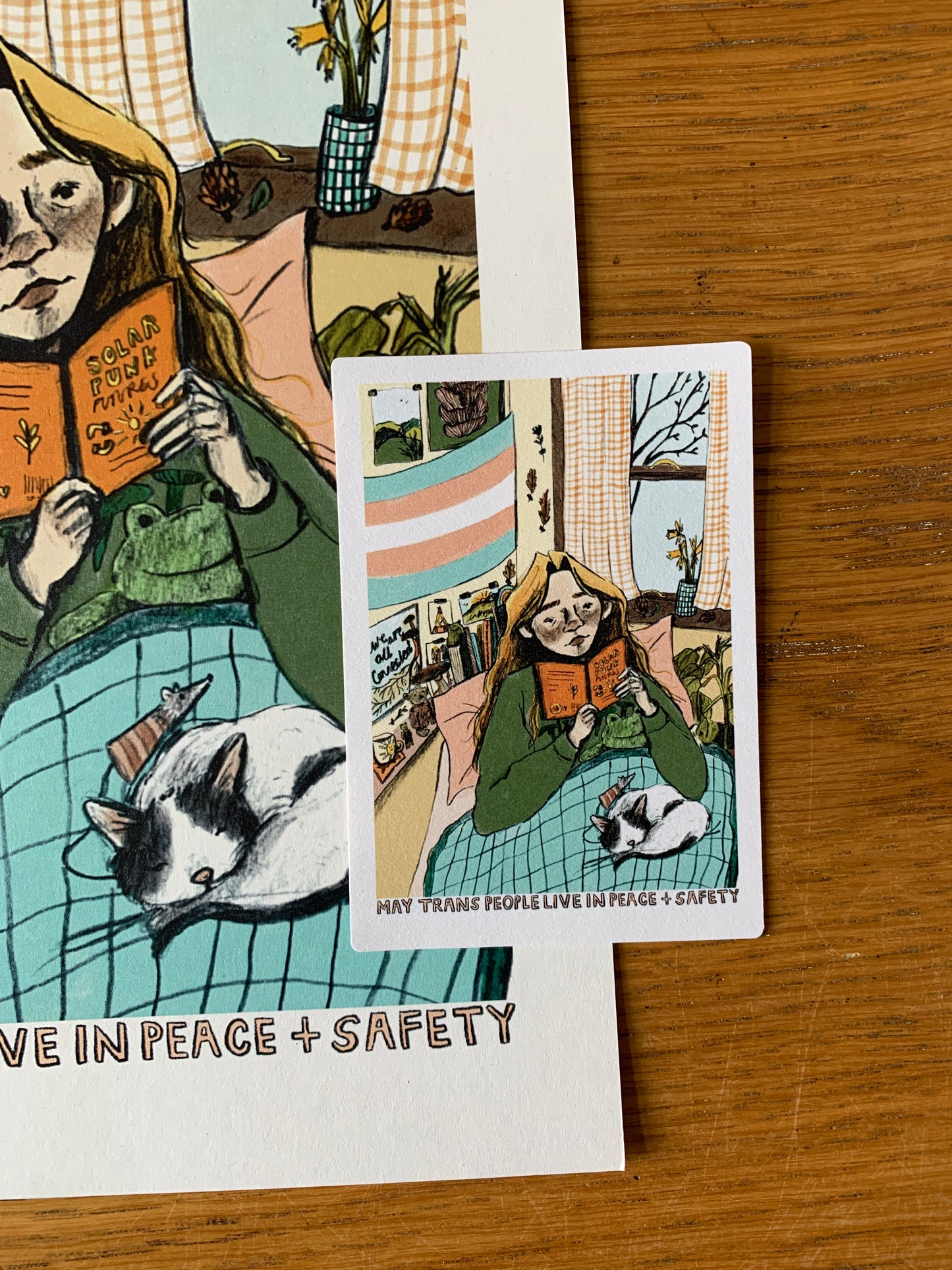 May Trans People Live in Peace + Safety Sticker