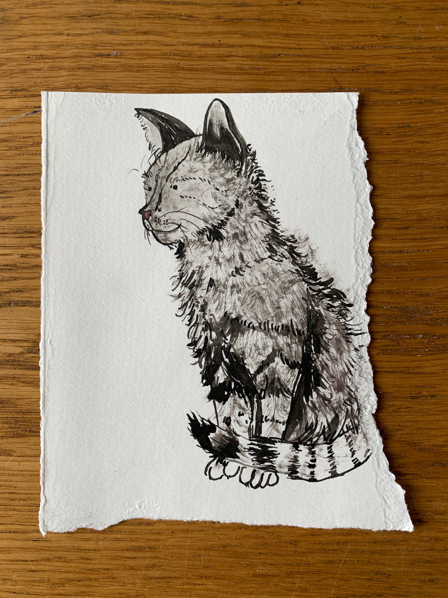 Original - Kitten Ink Sketch