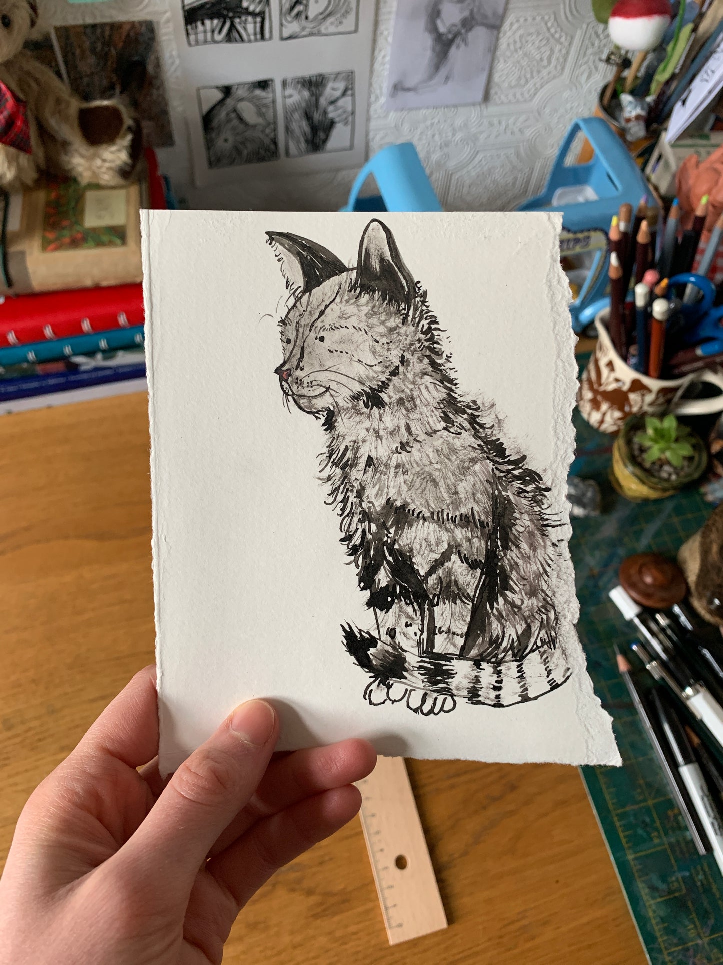 Original - Kitten Ink Sketch