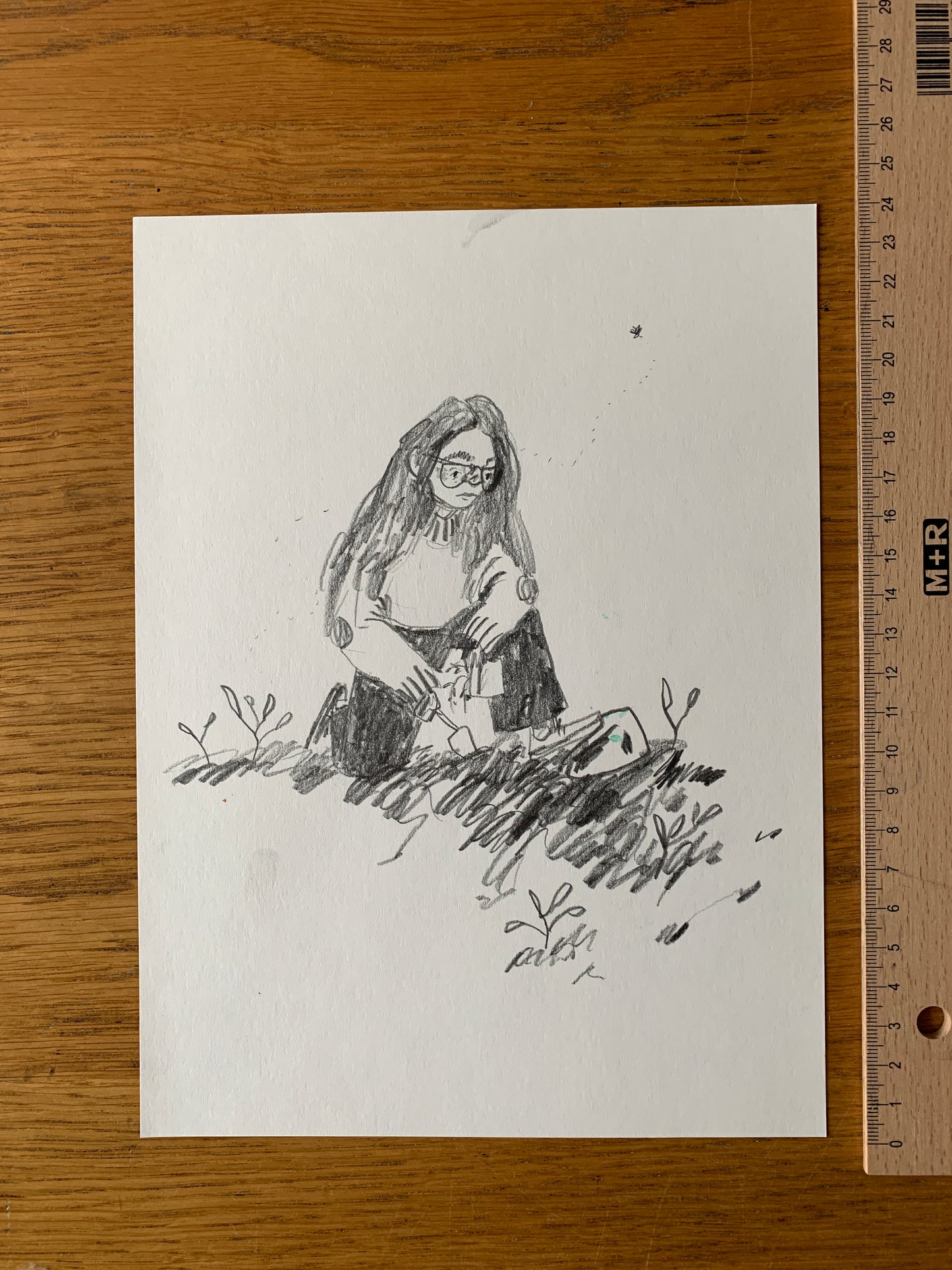 Original - Gardener Sketch in pencil