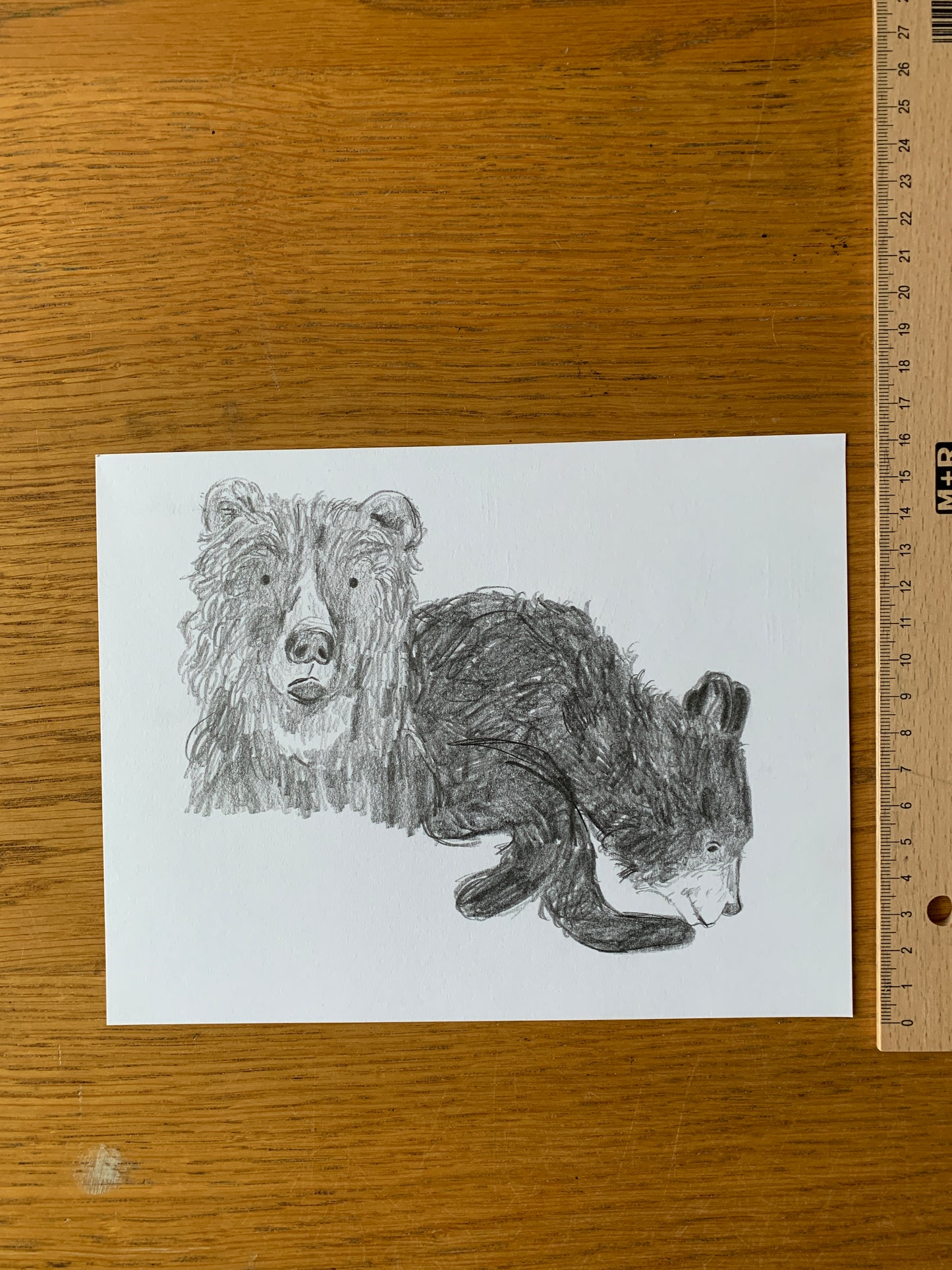 Original - Bears Sketch in pencil