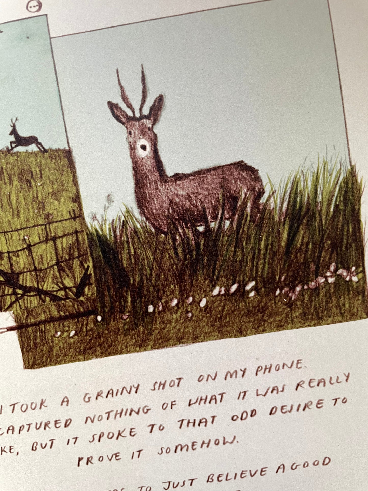 Stag Sighting Print (includes accompanying writing piece)