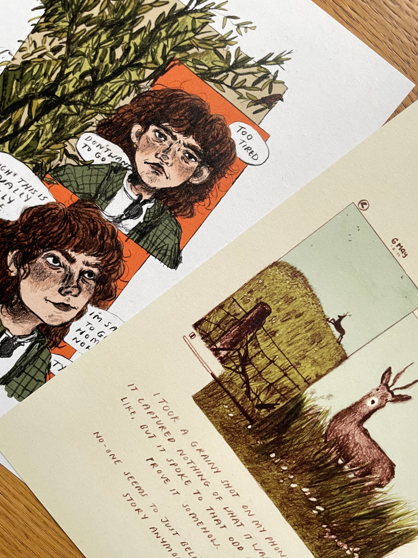 Stag Sighting Print (includes accompanying writing piece)